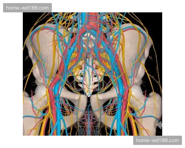 石墨烯传感器集成于比赛器械 助力精准监测突发碰撞对脊柱的影响
