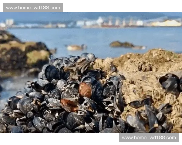 FIFA强制推行半场补水三分钟新规 北美高温气候考验球员适应能力 FIFA强制推行半场补水三分钟新规 北美高温气候考验球员适应能力